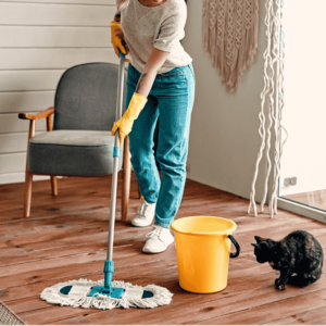 Apartment Cleaning (1)